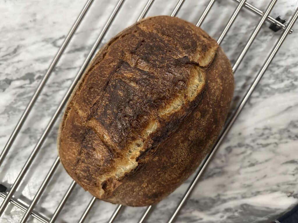 My wife believes i burned my bread My wife believes i burned my bread
