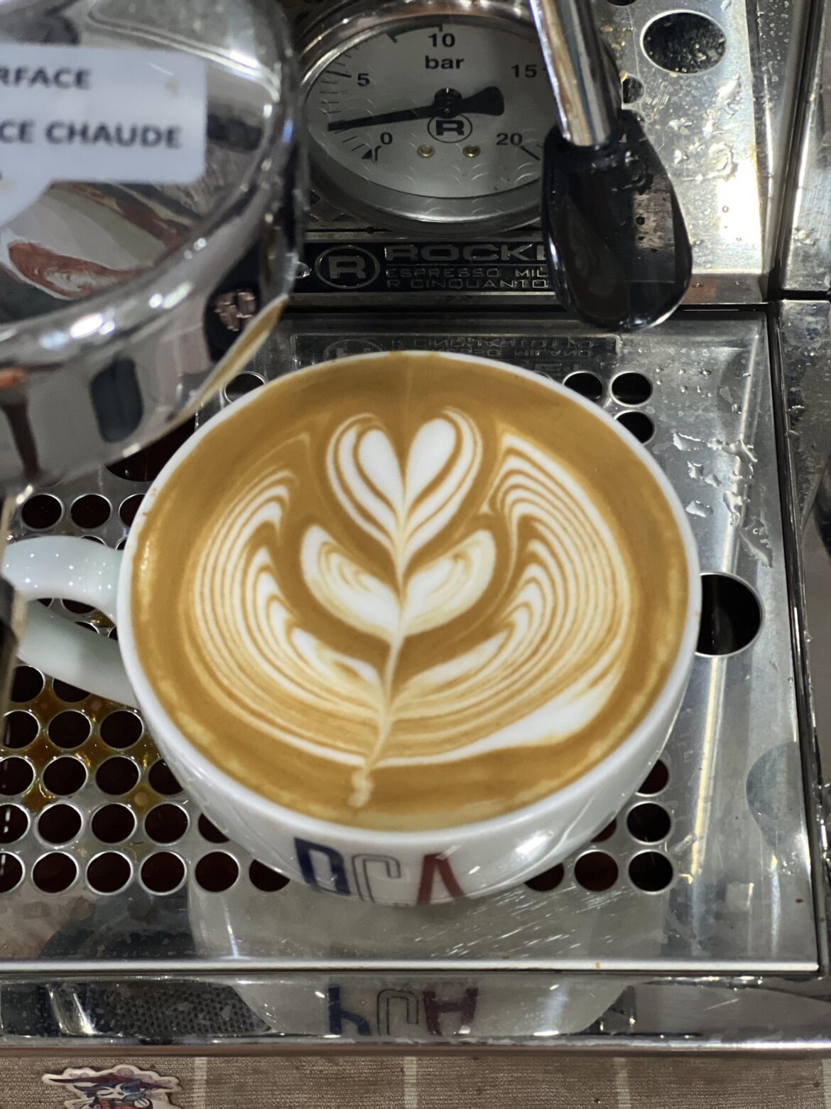 Winged Tulip Latte Art