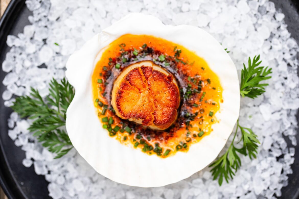 Seared scallop with salsa macha butter