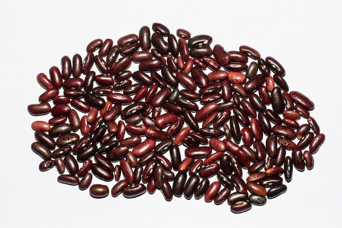 Be careful about cooking dry kidney beans in a slow cooker