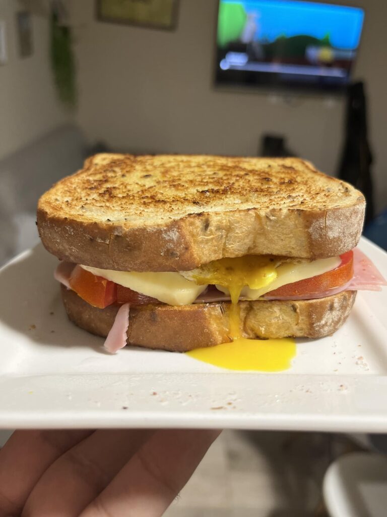 Me again. Egg, ham, cheese, tomato, toasted bread.