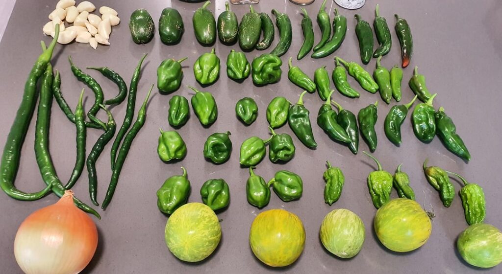 Green habanero sauce recipe.