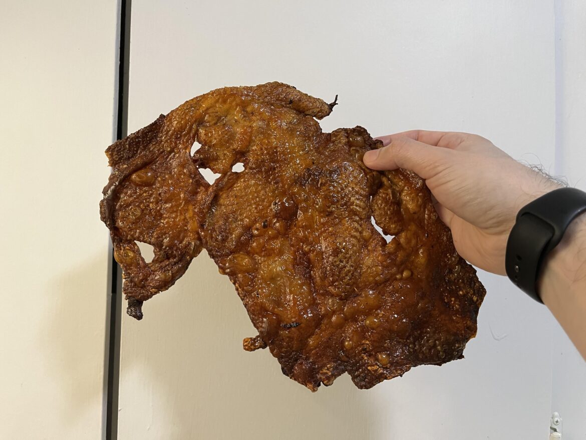 I made an oven-crisped turkey skin. Kudos to Kenji.