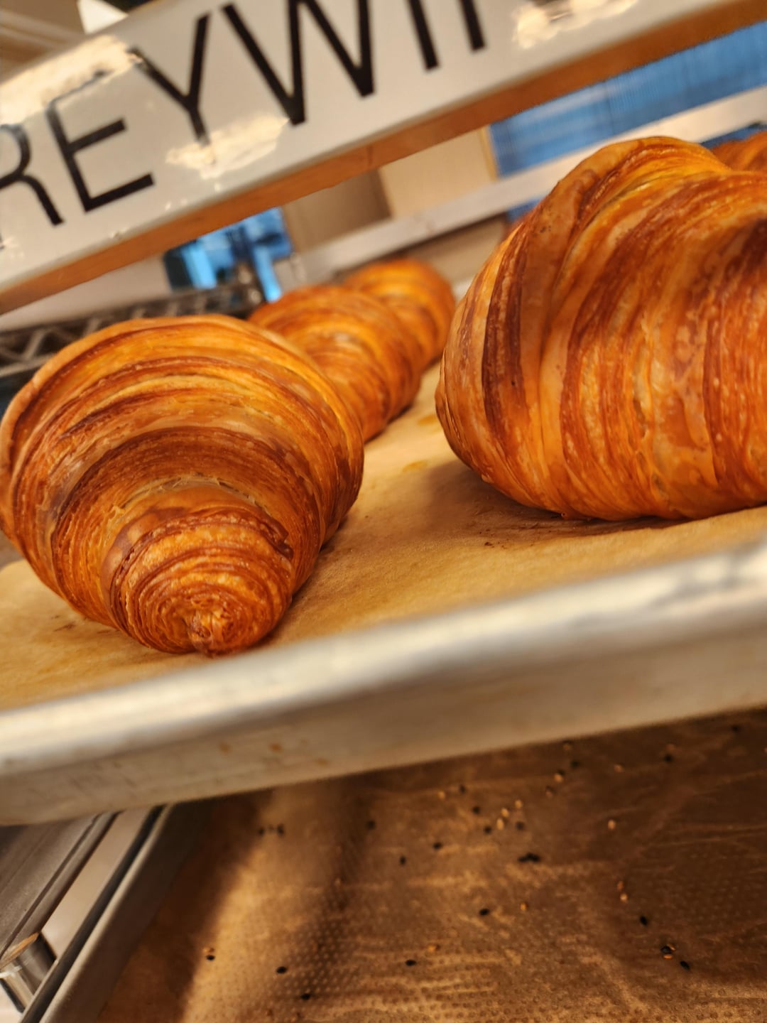 2023 My Bread Year Dining and Cooking