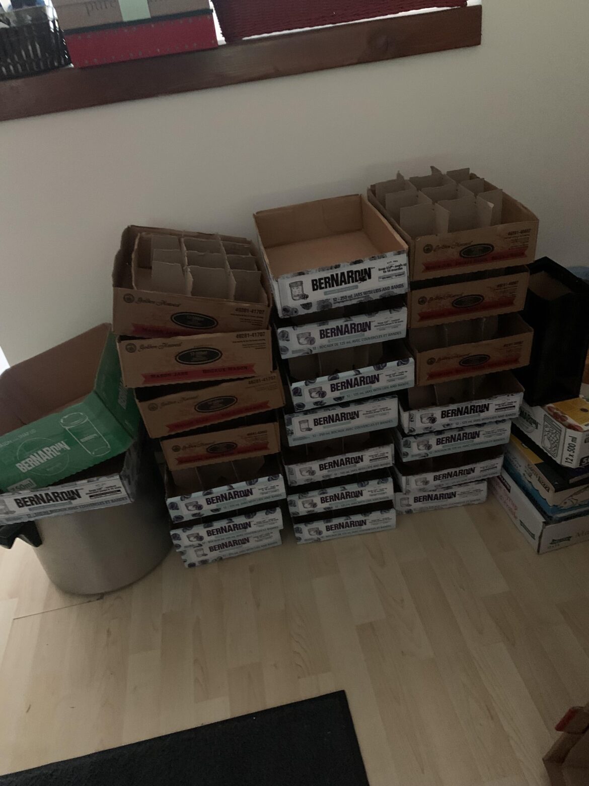 I’ve called my mom a canning machine before. The proof is in the picture.