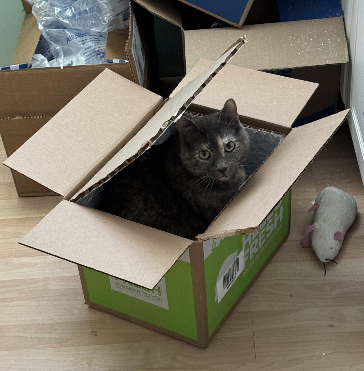 Anyone else get this sample this week?