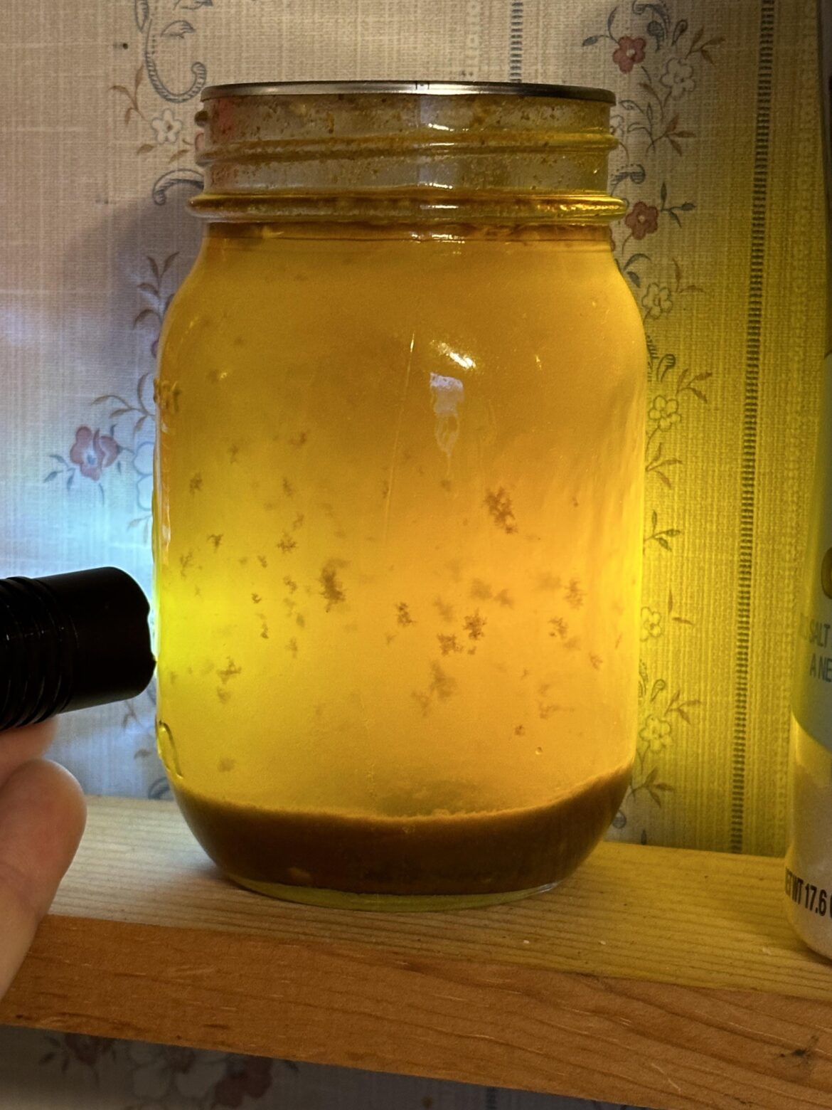 Candied jalapeño syrup starting to look funny