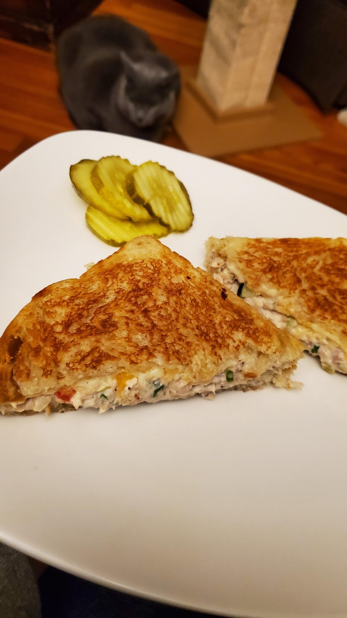 Tuna melt on sourdough bread.