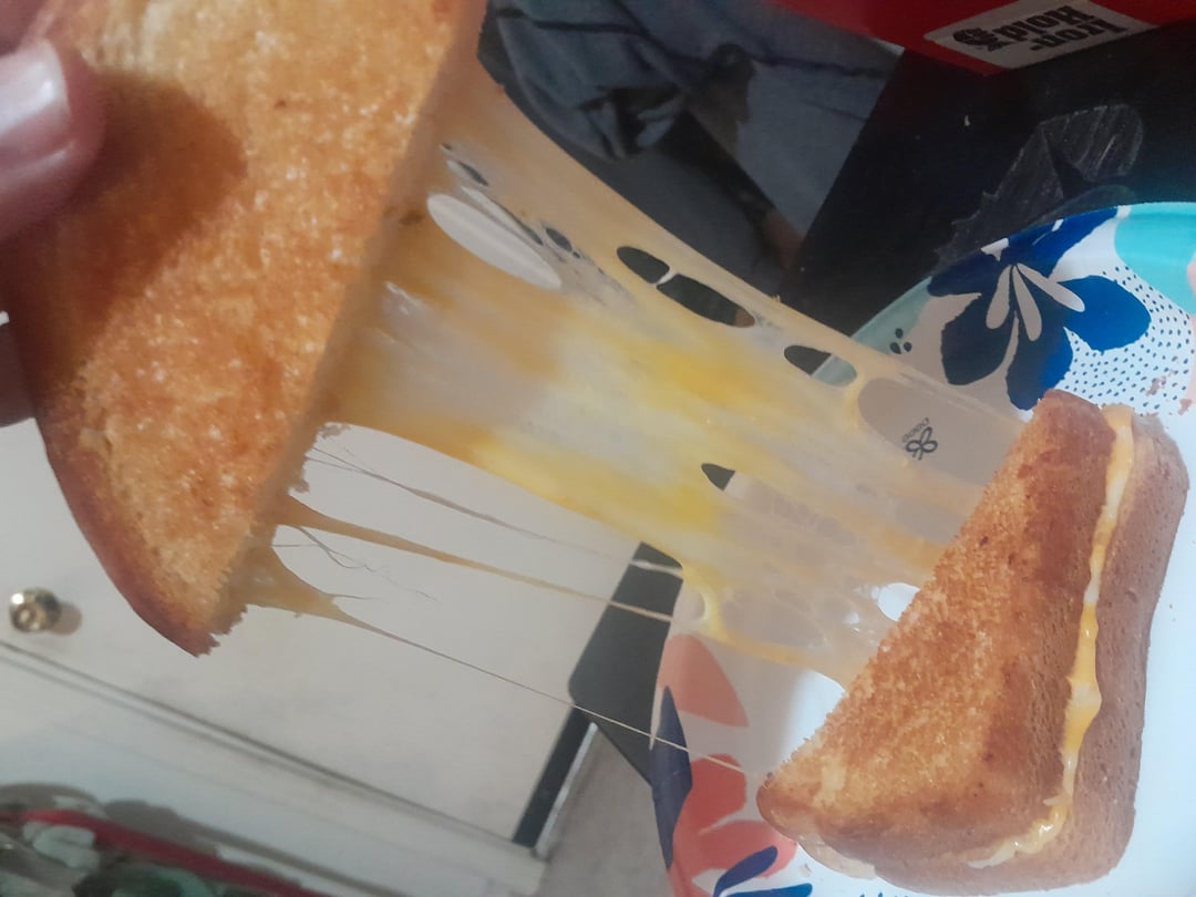 Colby jack, pepper jack, cheddar, and havarti on white bread cooked