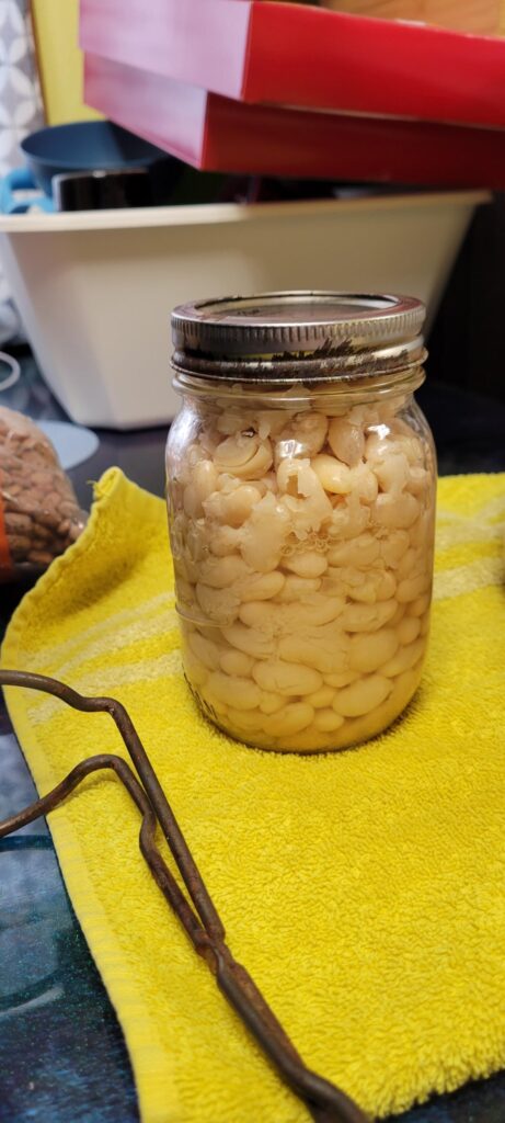 Pressure Canning Beans