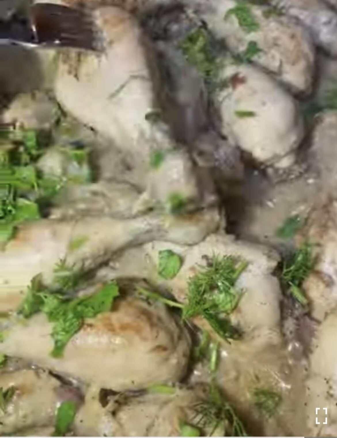 Chicken with white sauce without cream