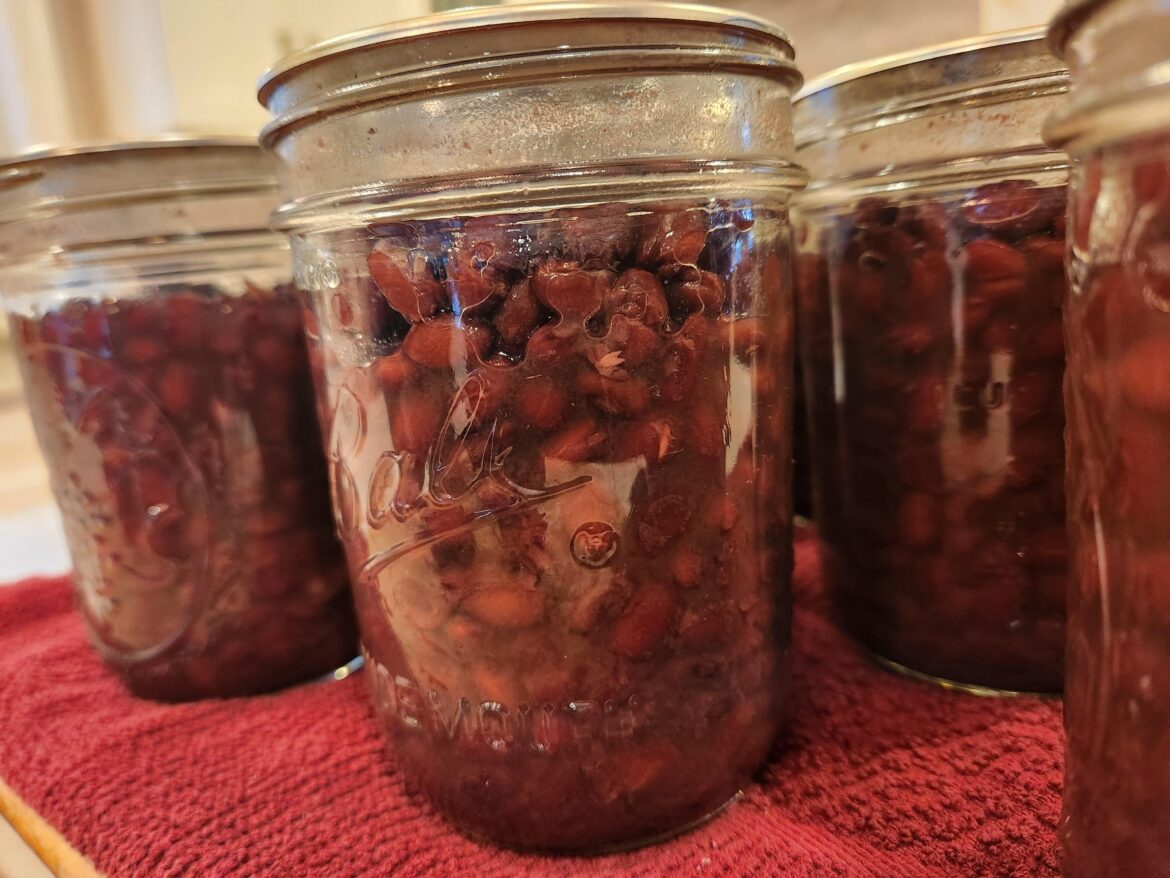 Black beans - question about liquid level