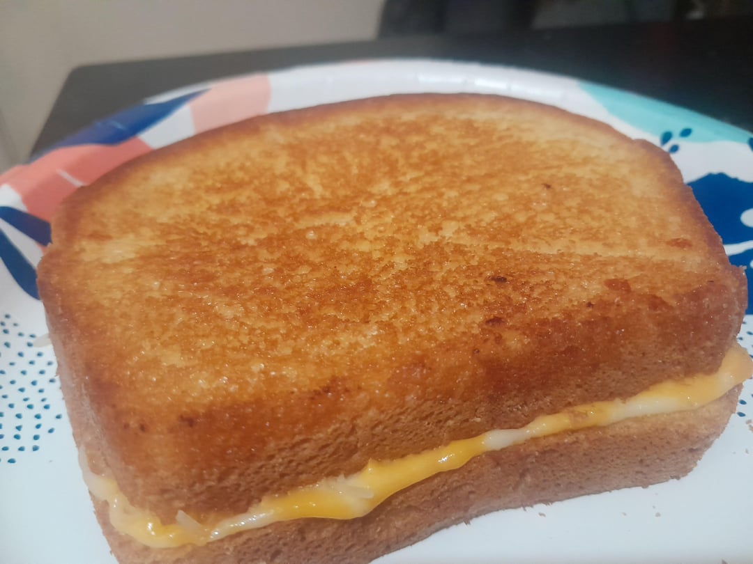 Colby jack, pepper jack, cheddar, and havarti on white bread cooked