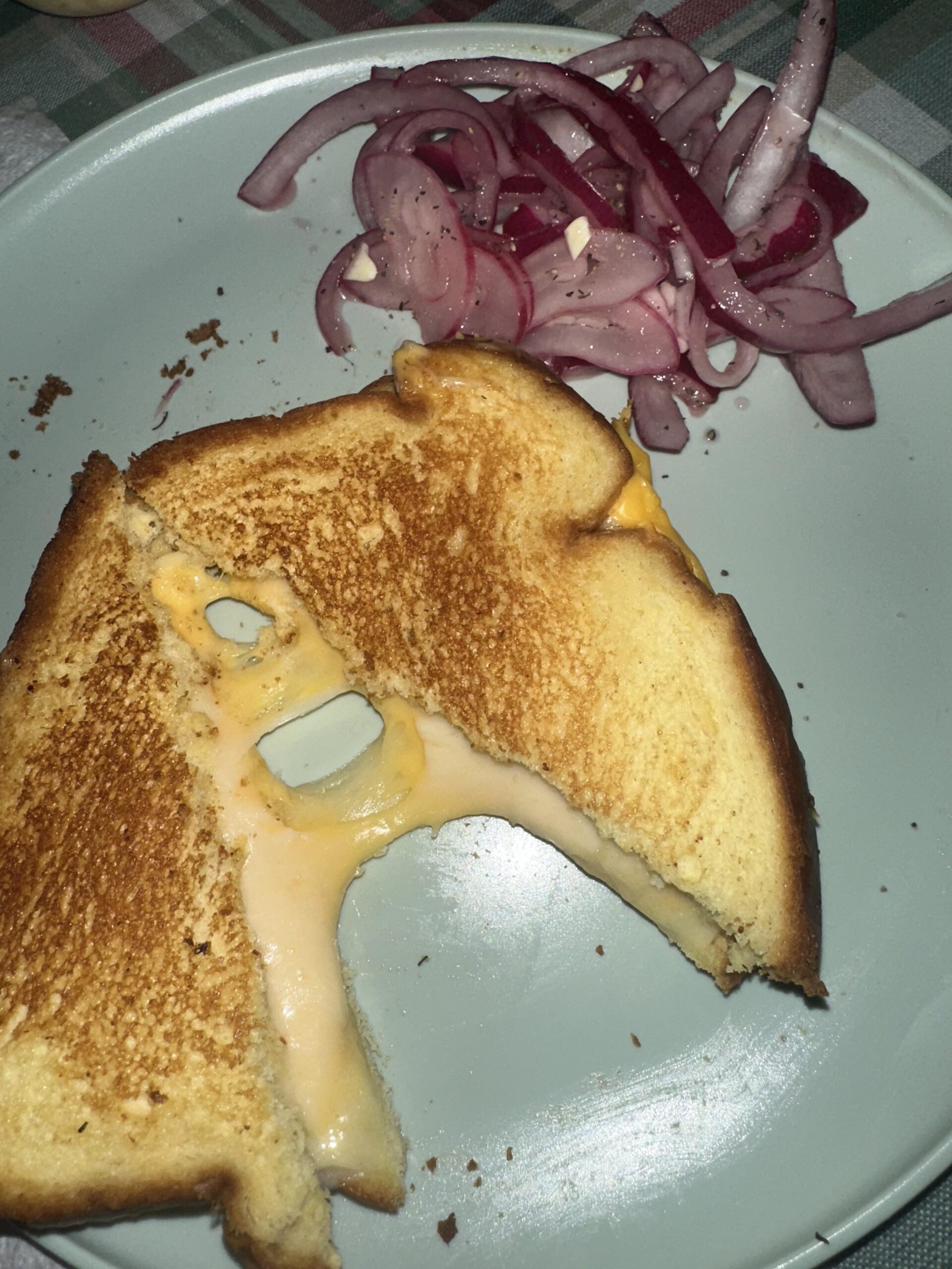 havarti, mozz & gouda grilled cheese with homemade pickled onions 😋 the