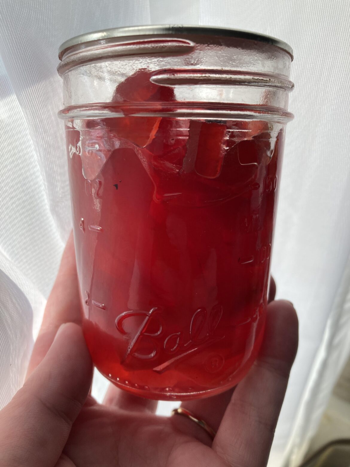 Anyone have a tested cinnamon pickle recipe? I’m fascinated!