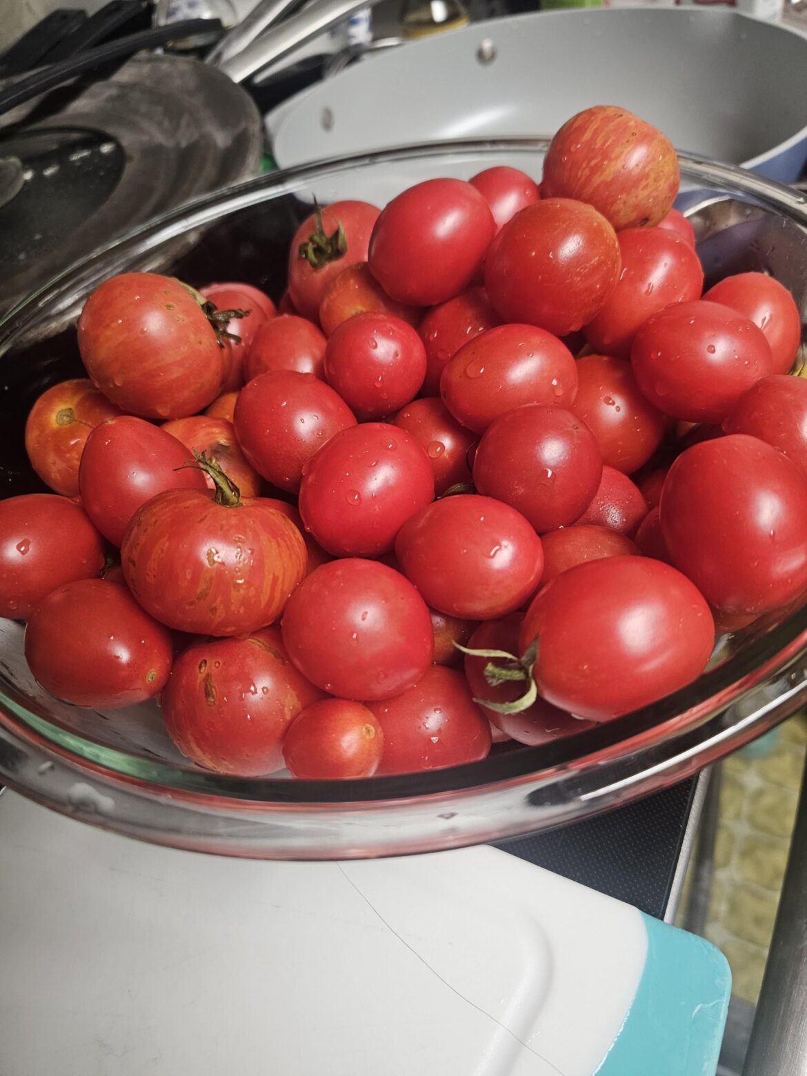 Roasted salsa recipe? (I'm trying to make tomato peeling easier)