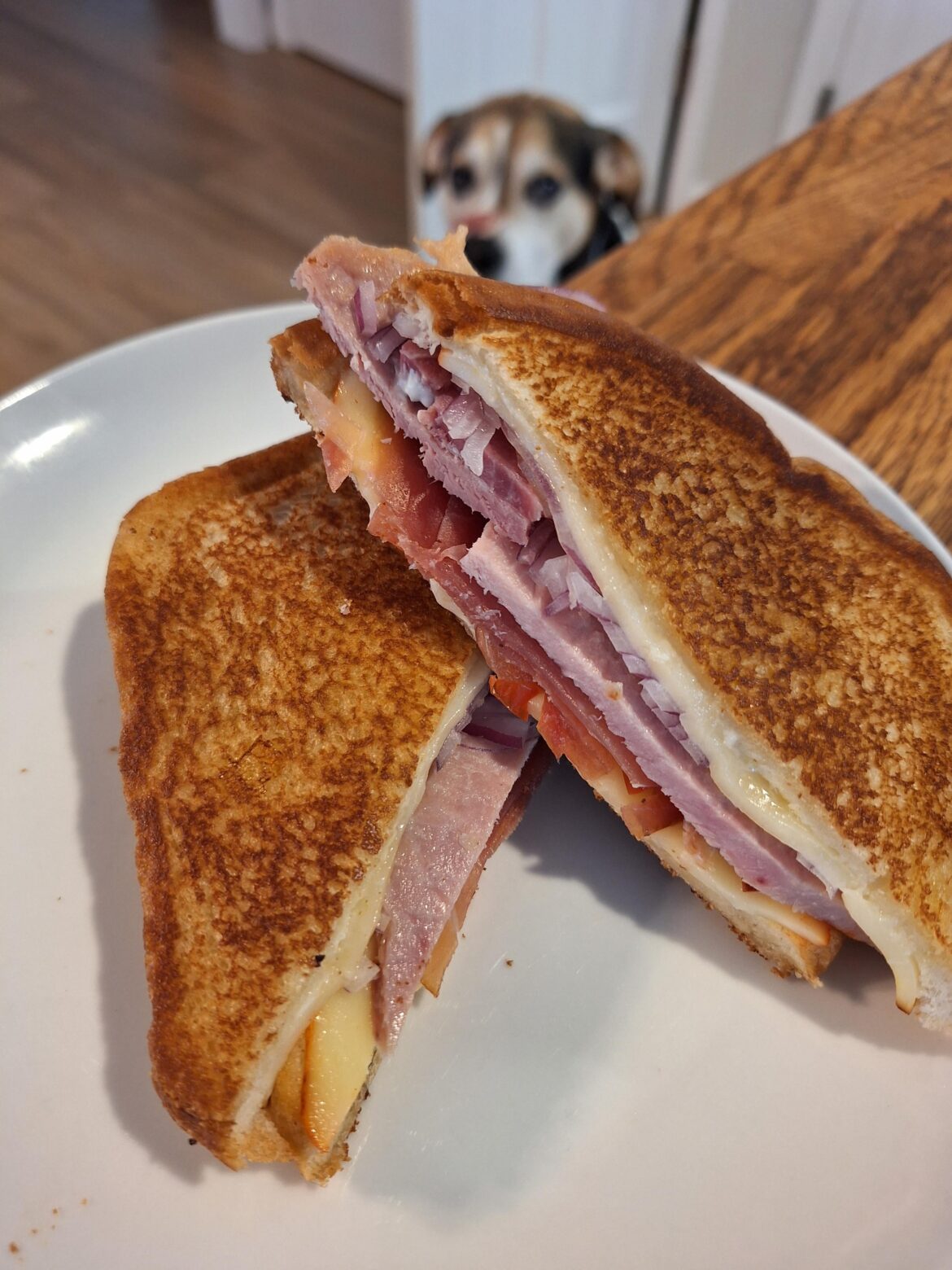 Jamon and ham grilled cheese