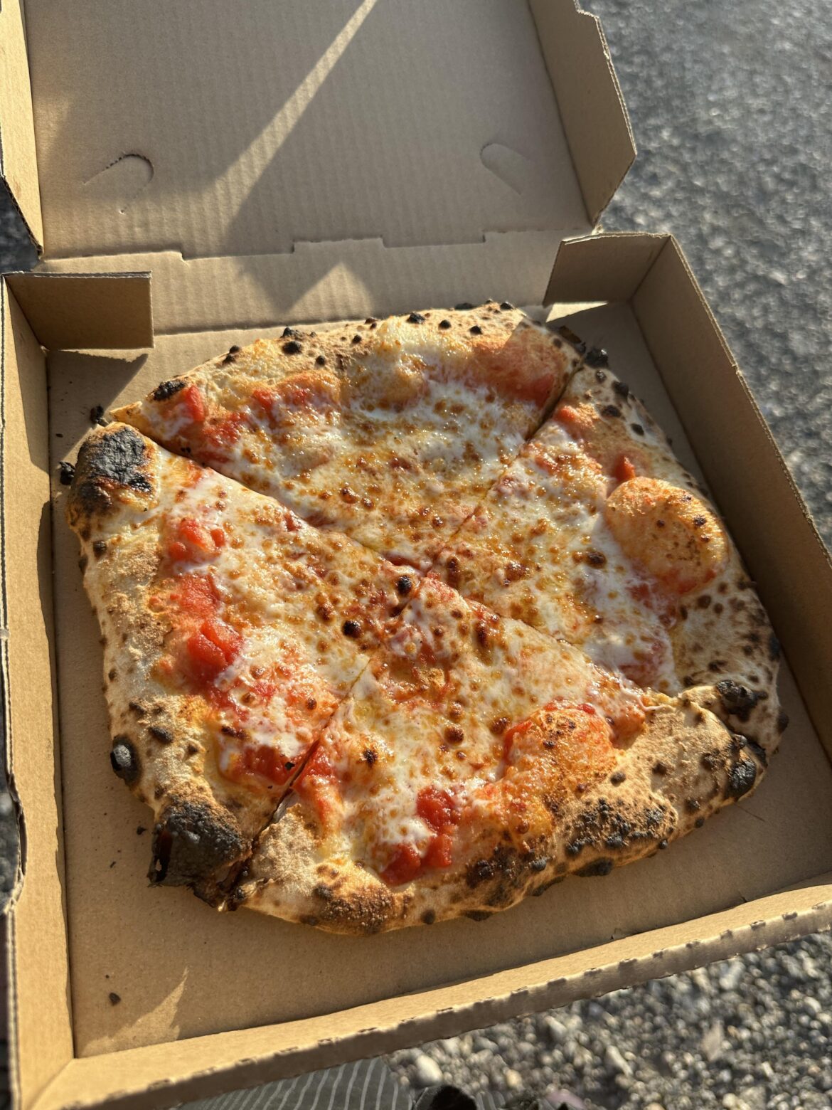 Pizza made in gozney oven