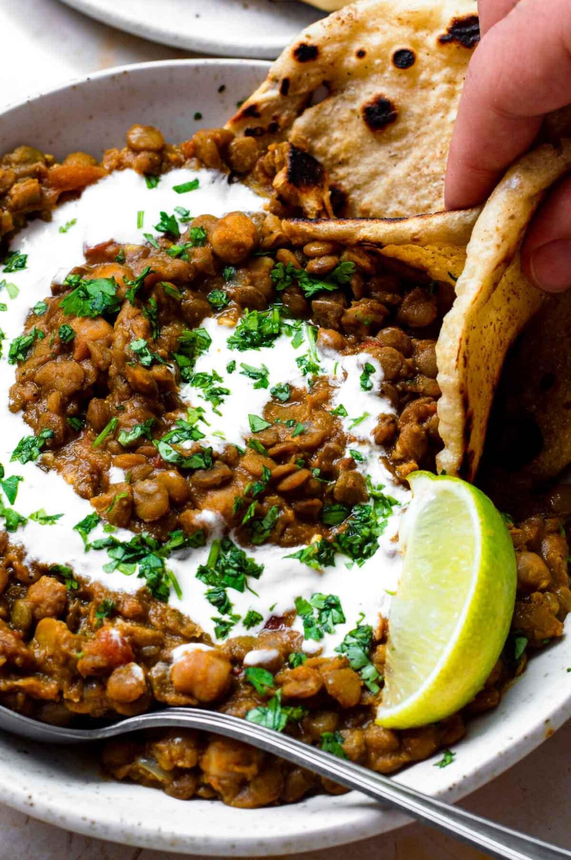 Easy chickpea and lentil curry