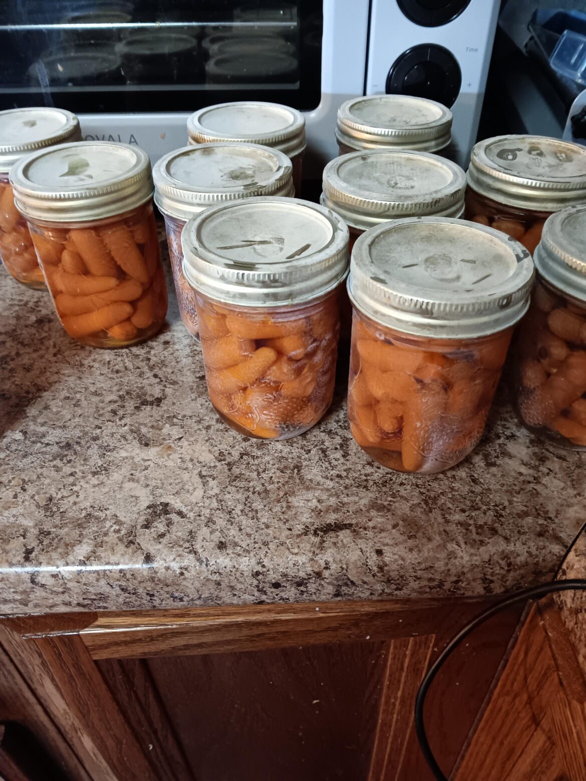 Forgot to add vinegar to pressure canner, I assume this is just from hard water?