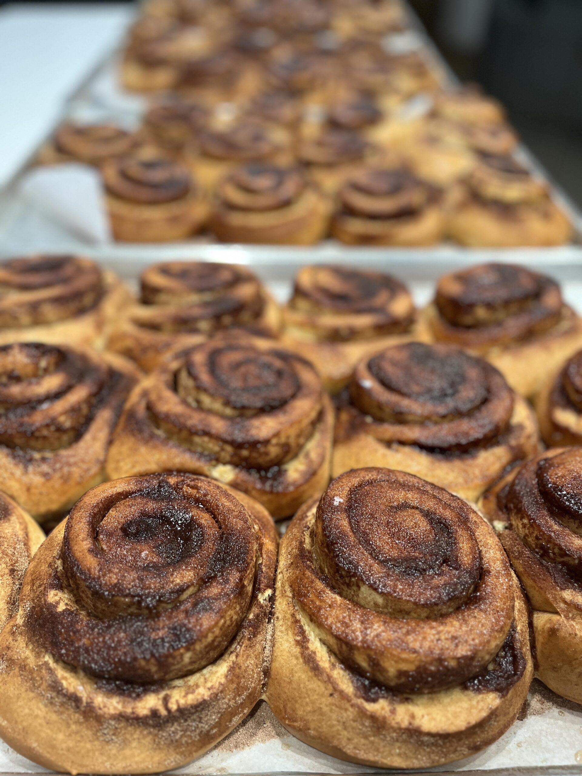 Fresh cinnamon rolls. Dining and Cooking