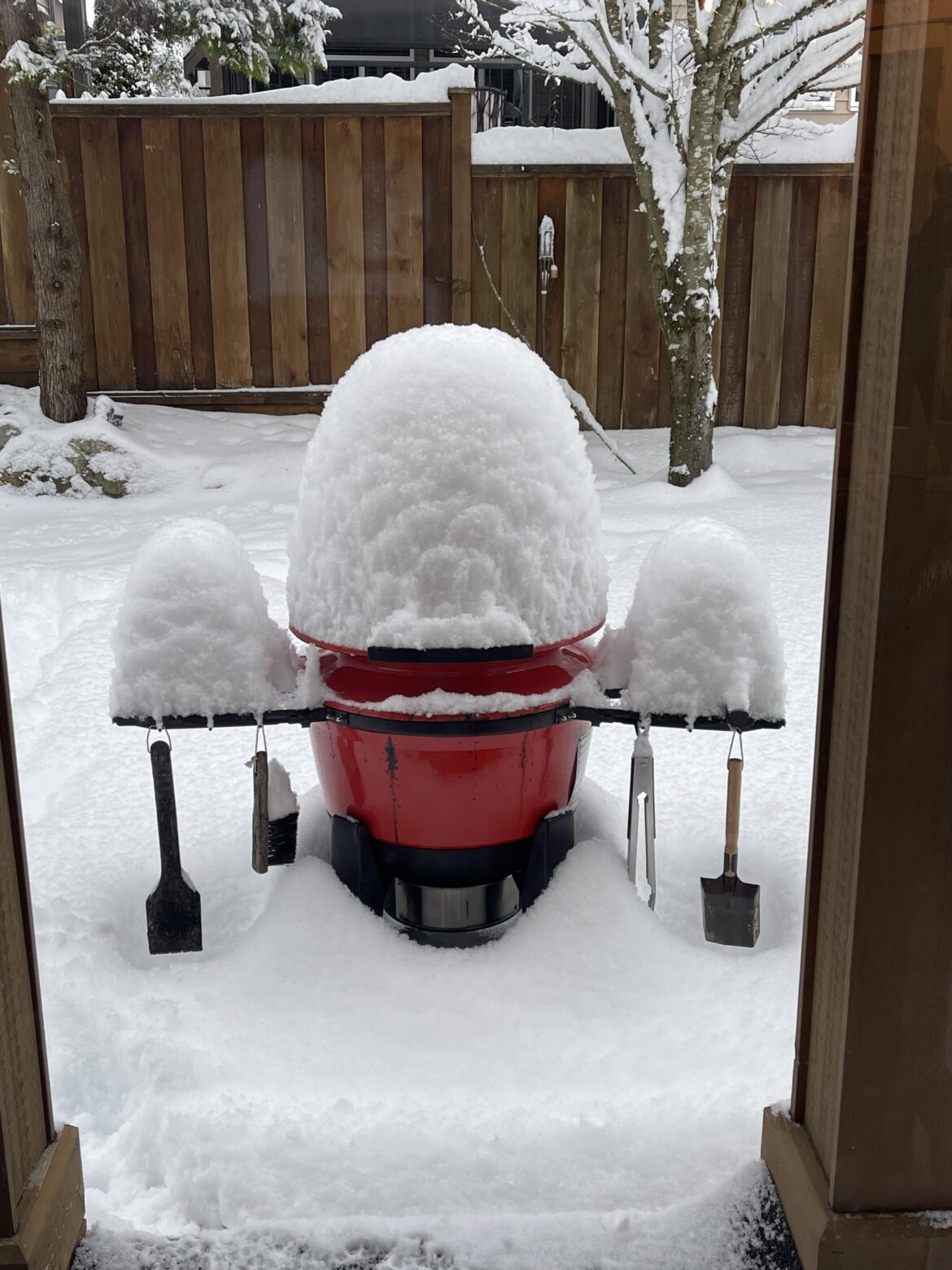 Poor kettle joe looks cold