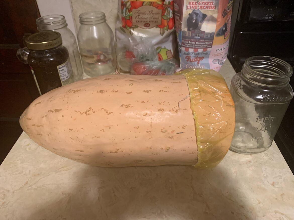 Advice needed on Banana Squash Advice needed on Banana Squash