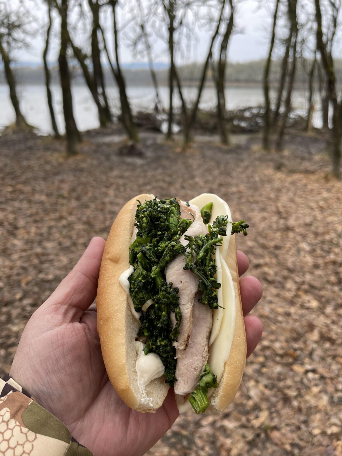 Roast pork and broccolini sandwich while out duck hunting.