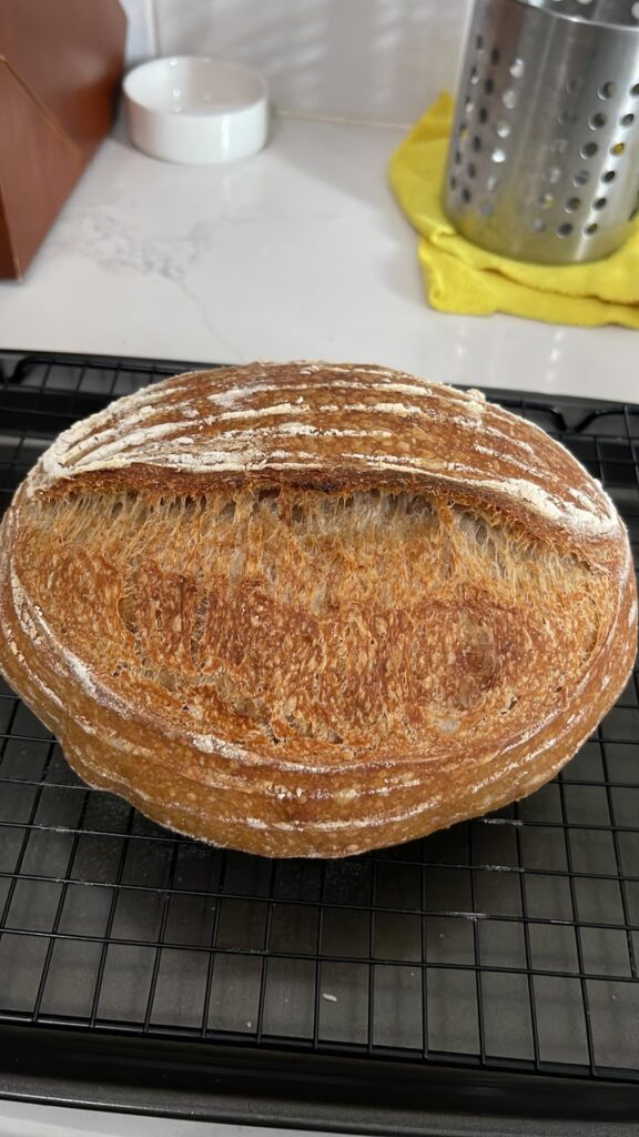 First ever bake
