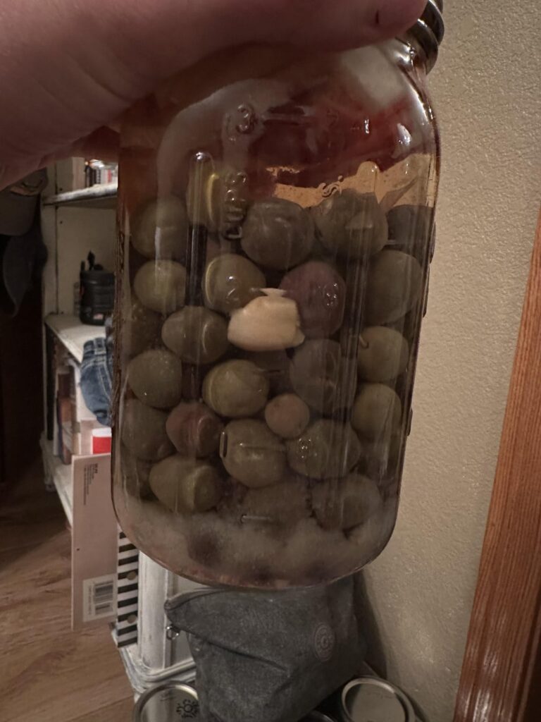 Weird substance in beginners canned olives