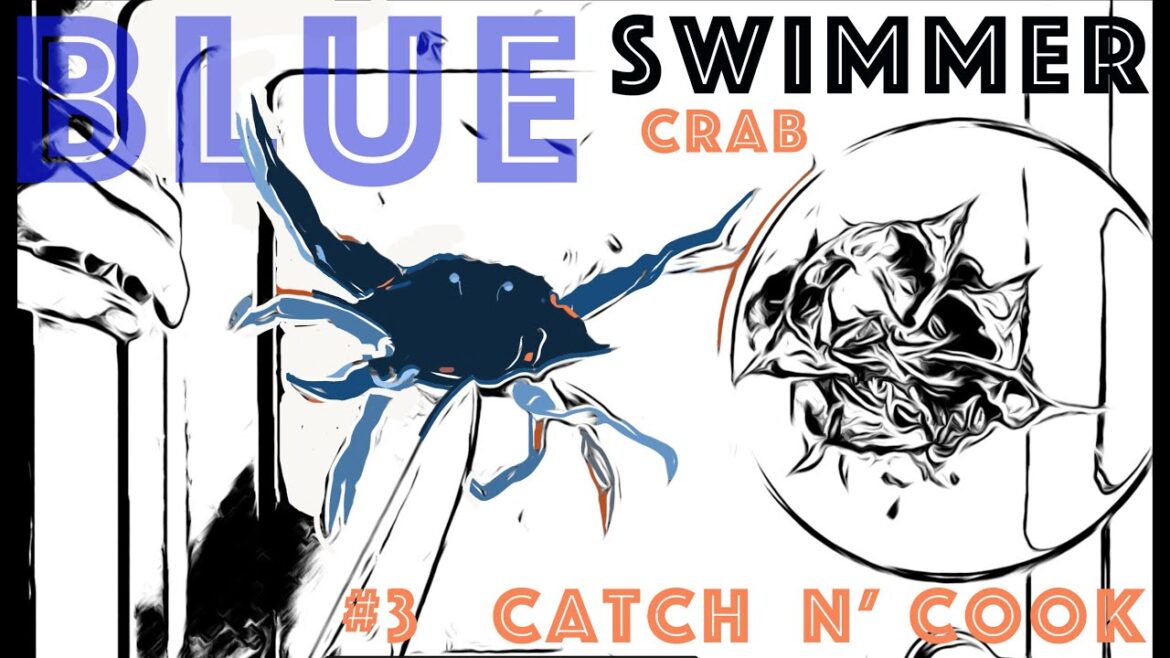 spaghetti con granchio BLU _ recipe for Swimmer Blue Crab