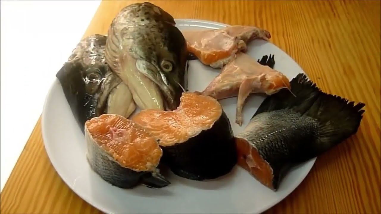 Salmon. How to make Aspic Salmon recipe. How to cook jelly from the