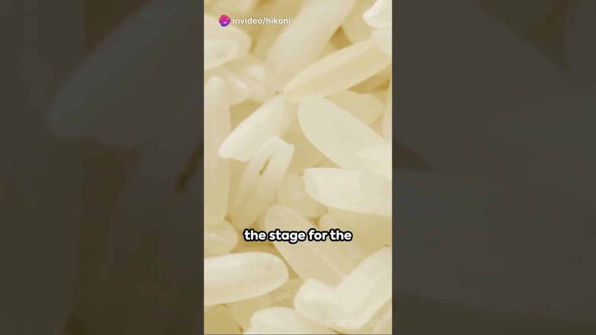 Seafood Risotto: Italy’s Hidden Gem Seafood Risotto: Italy's Hidden Gem