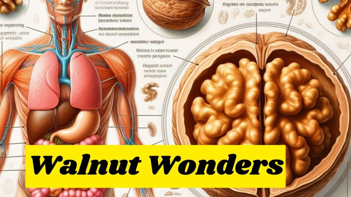 Walnut Wonders: Unveiling the Transformative Effects on Your Body When You Eat Walnuts Every Day