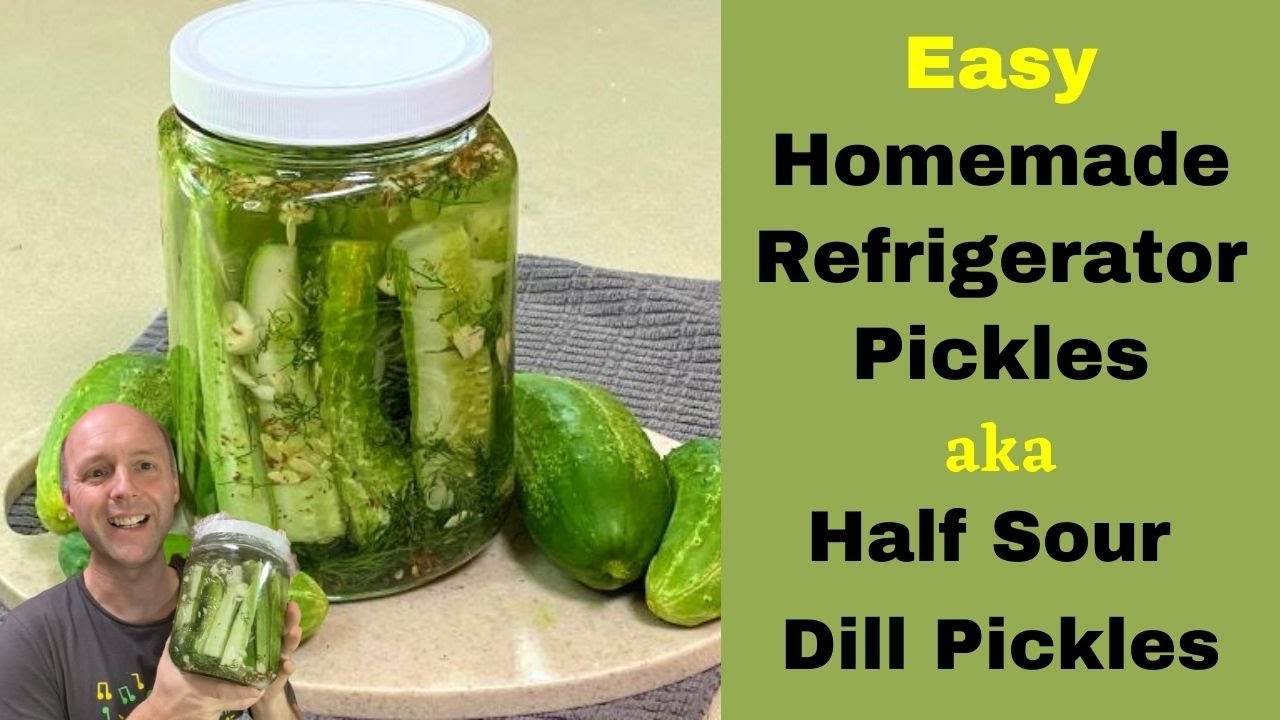 EASY HOMEMADE REFRIGERATOR PICKLES Half Sour Dill Pickles Dining