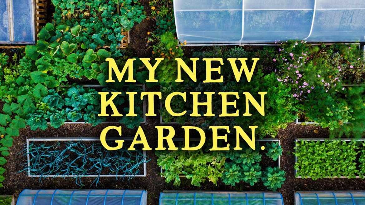 The Self-Sufficiency Garden | 580kg/1300Ibs+ of Food in 10 Months The Self-Sufficiency Garden | 580kg/1300Ibs+ of Food in 10 Months