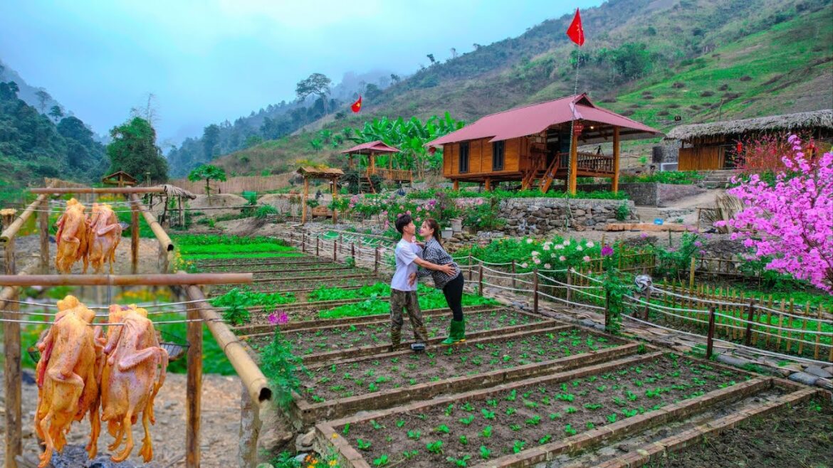 Sang Vy planted a large vegetable garden, harvested duck fish to smoke and cook for lunch – garden Sang Vy planted a large vegetable garden, harvested duck fish to smoke and cook for lunch - garden