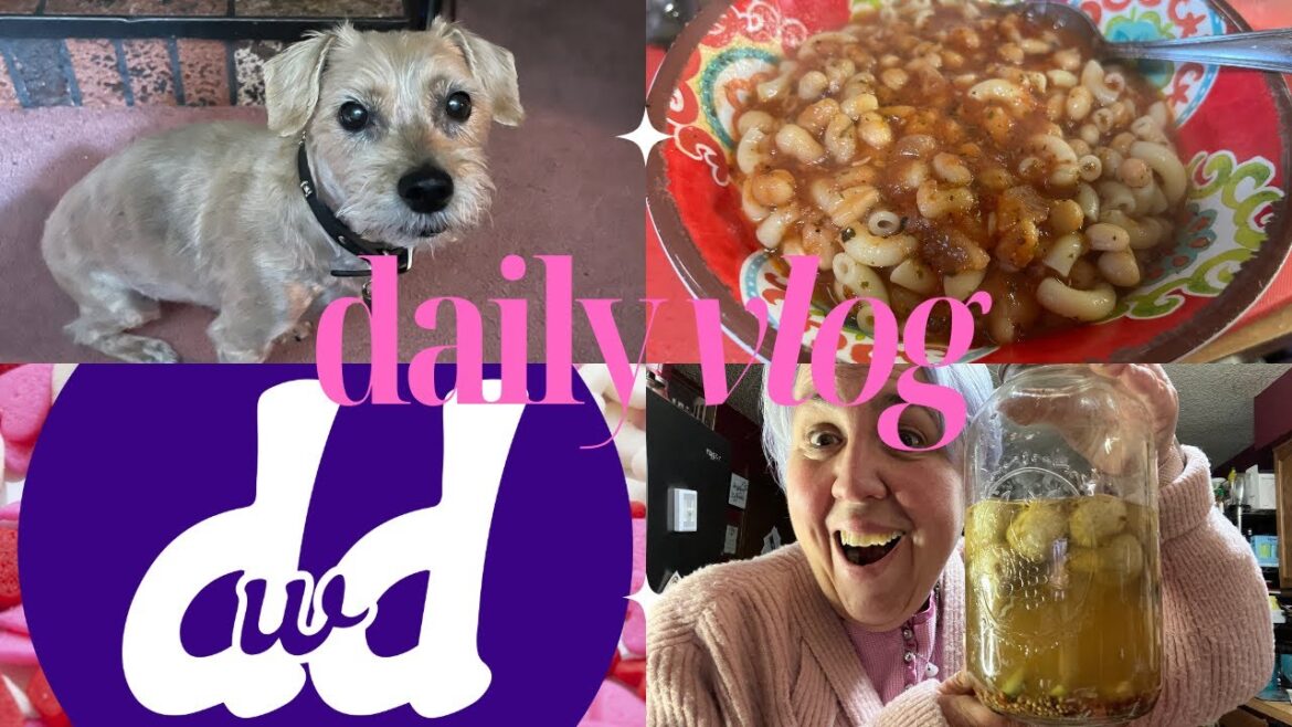 Vlog | Pasta Fazool Soup | Pasta Fagioli Soup | Pasta and Bean Soup | Pickled Mushrooms