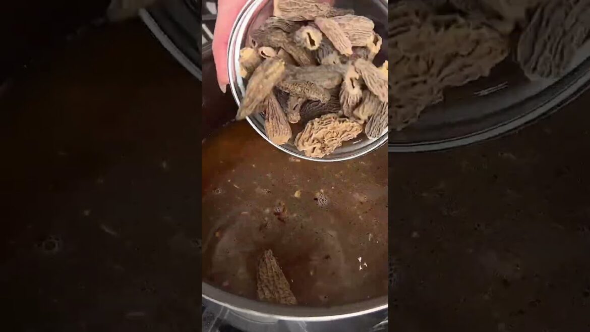 Morel Mushroom Risotto #shorts #food #mushrooms #holidayseason #easyrecipe #risotto #sidedish Morel Mushroom Risotto #shorts #food #mushrooms #holidayseason #easyrecipe #risotto #sidedish