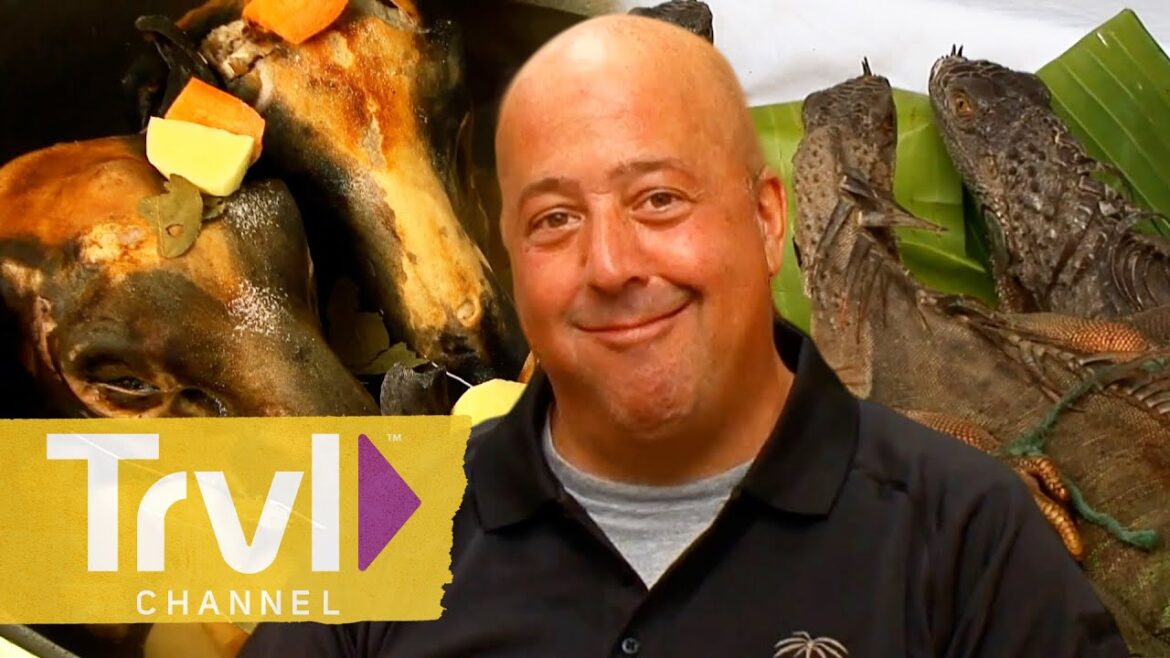 Wildest Foods from Season 3 | Bizarre Foods with Andrew Zimmern | Travel Channel Wildest Foods from Season 3 | Bizarre Foods with Andrew Zimmern | Travel Channel