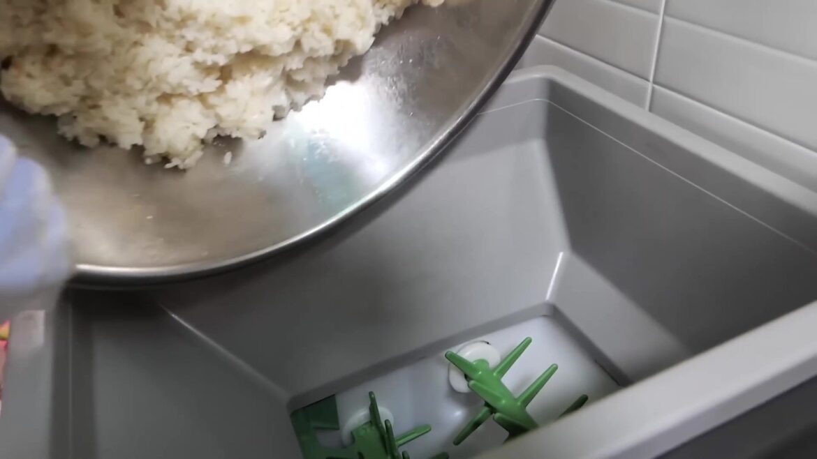 We all love street food