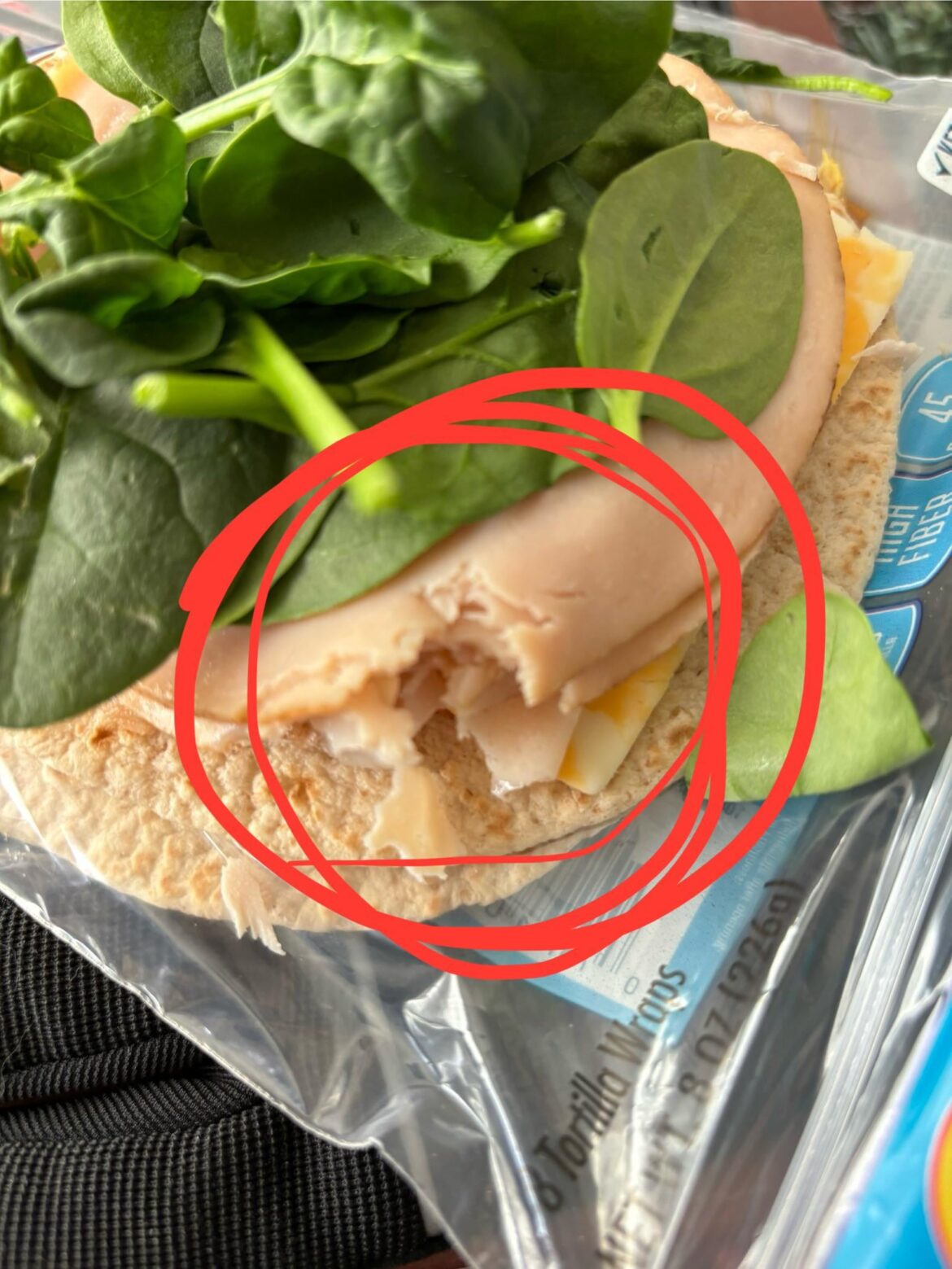 My cat likes to eat sandwiches, too.