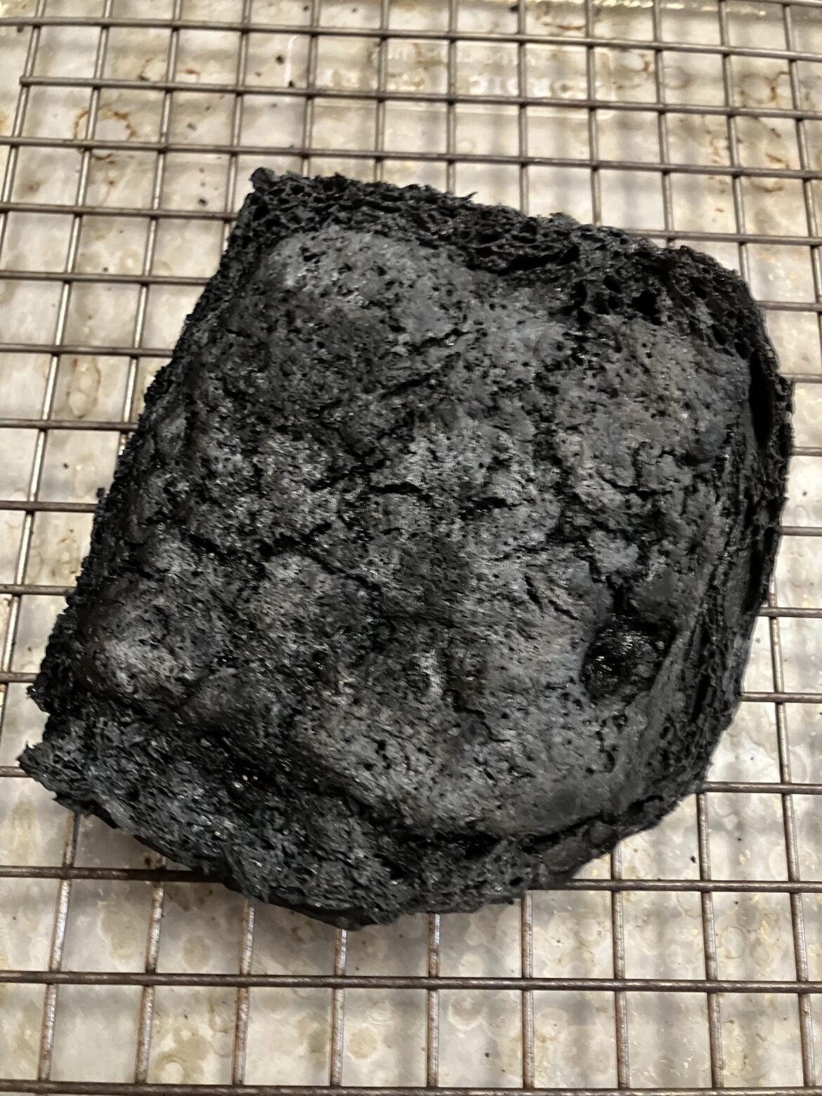 They say a watched pot doesn’t boil, but an unwatched broil makes…ashes. Watch what you’re broiling!