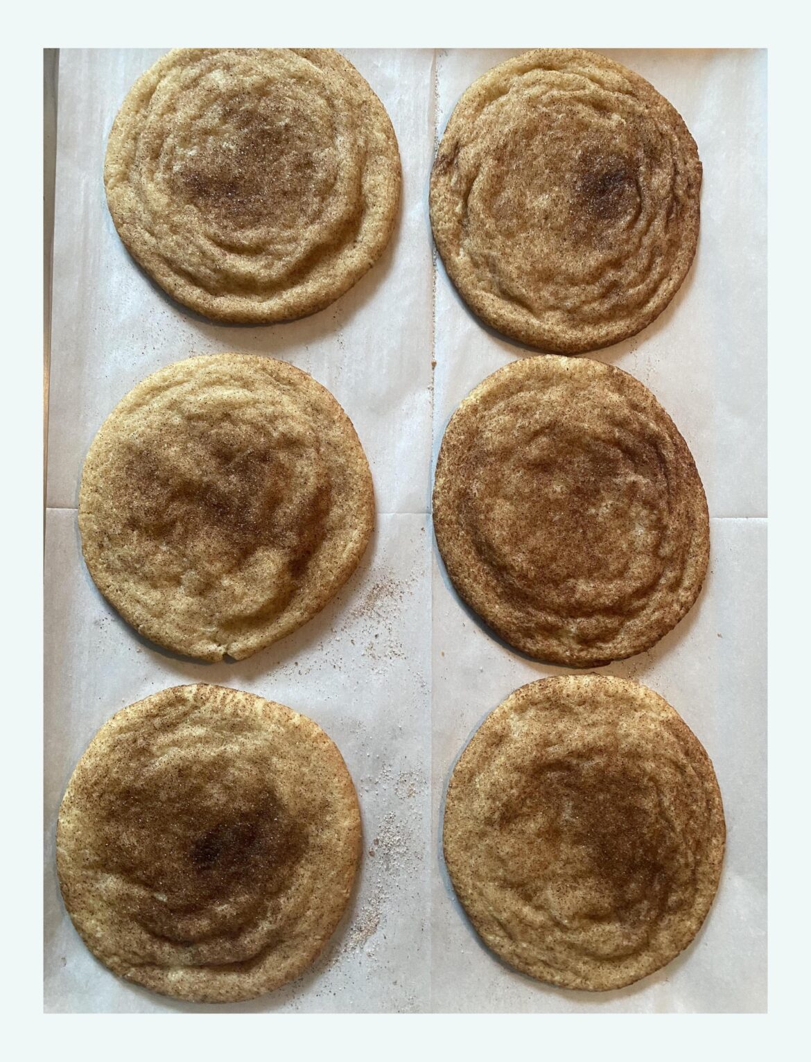 Broke the rules and made Snickerdoodles after Christmas