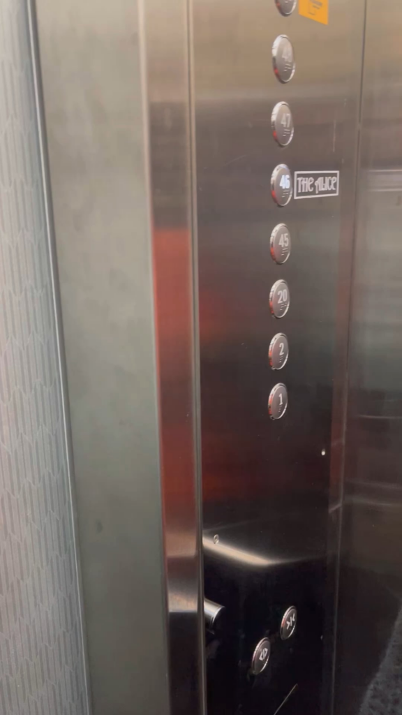 Cafe Pleasure, at Sejong South Korea, is a MOOD.