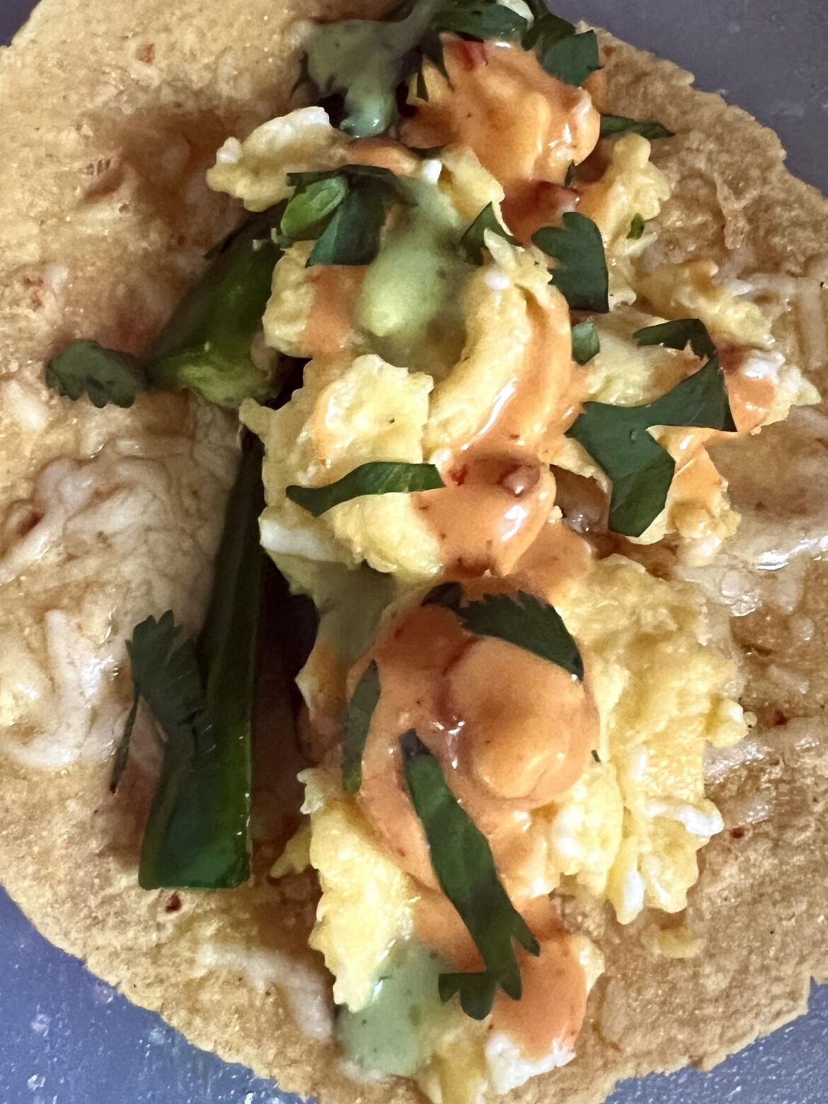 Today's breakfast taco. Don't worry there were many others just like it.
