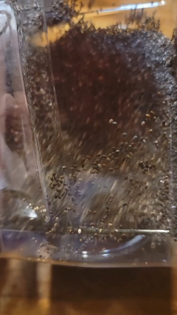 Chia seeds moving