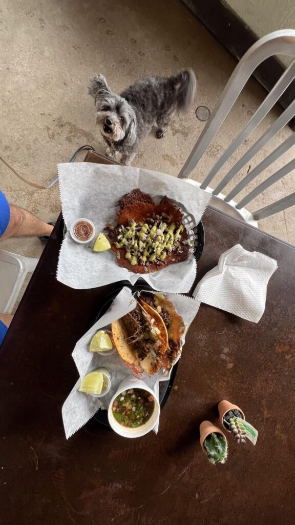 Viva La Vida food truck