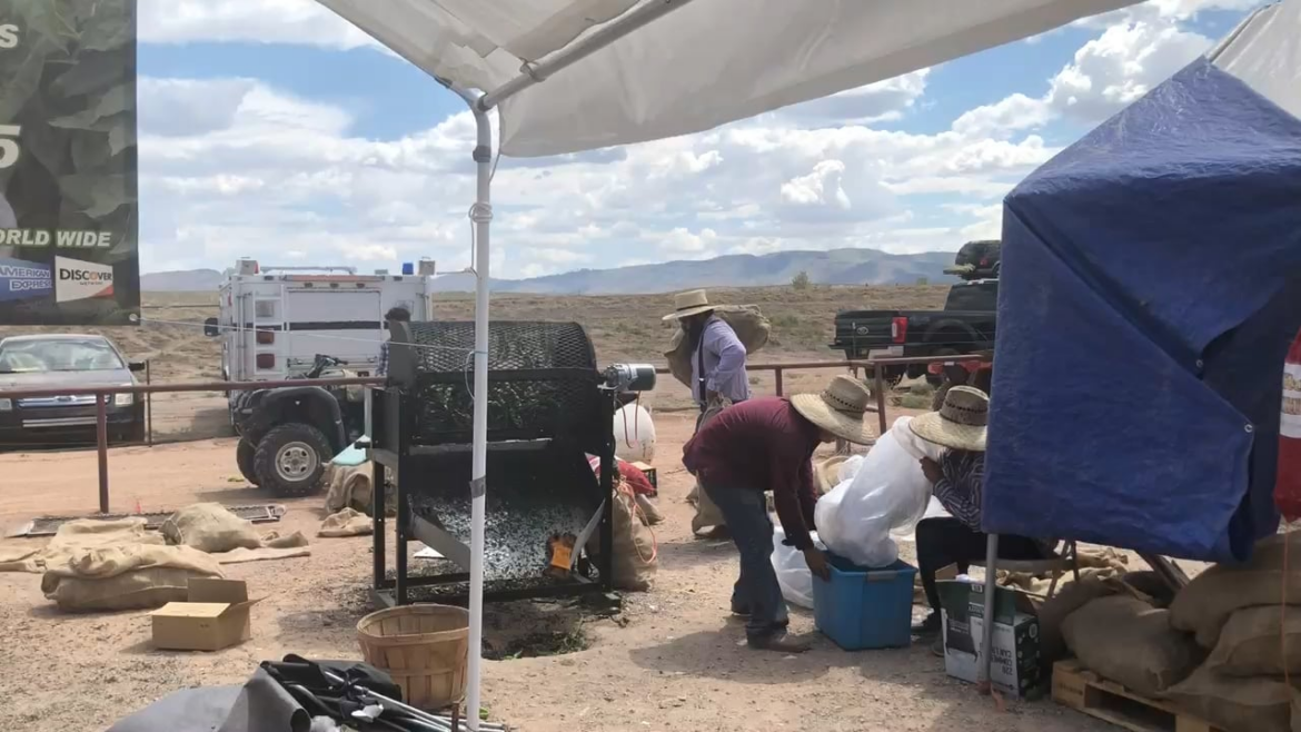 Chilies being roasted at the Hatch Green Chile Festival