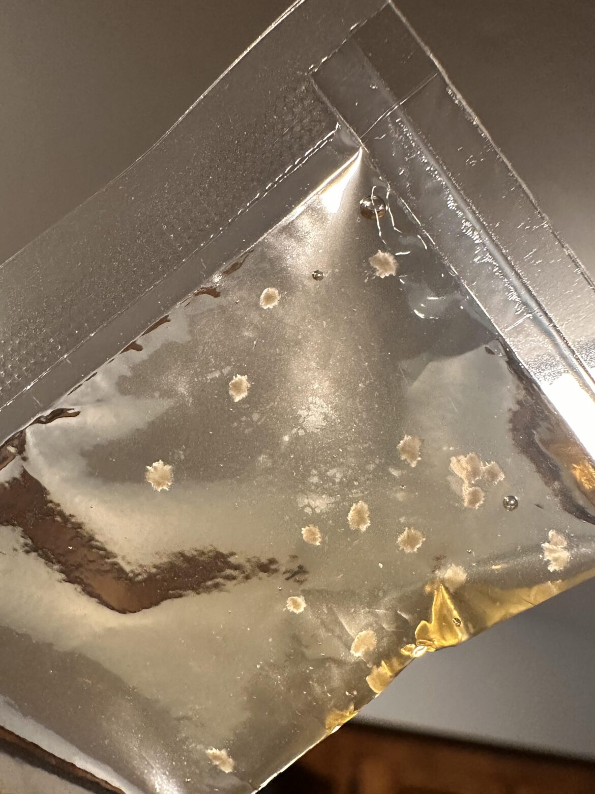 Weird white bits in honey packets? Weird white bits in honey packets?